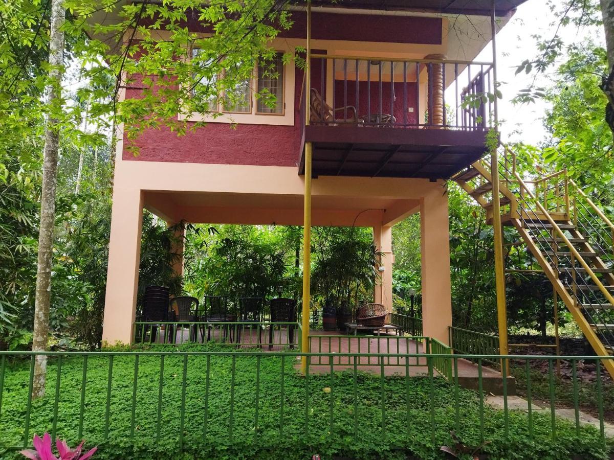 Wayanad Green Park Resort Ambalavayal Exterior photo